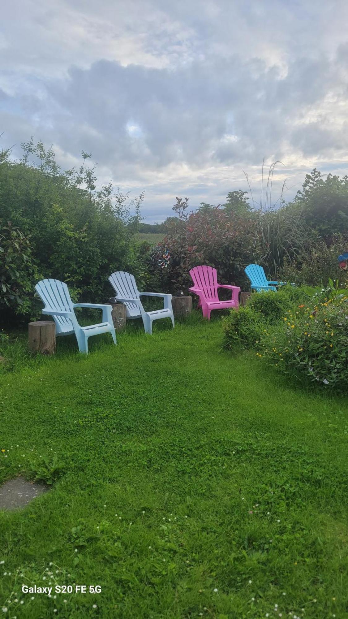 Appartamento Salmon Island View Dromineer Esterno foto